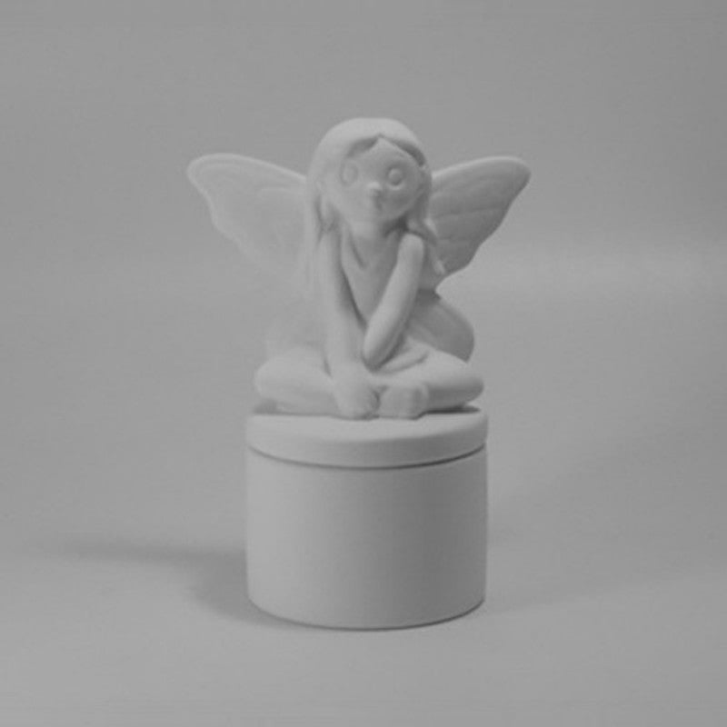 Fairy Box (Case of 6/24)