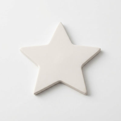 Star Decoration (Case of 6/24)